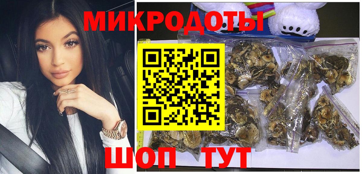 Псилоцибиновые грибы мицелий Чебаркуль